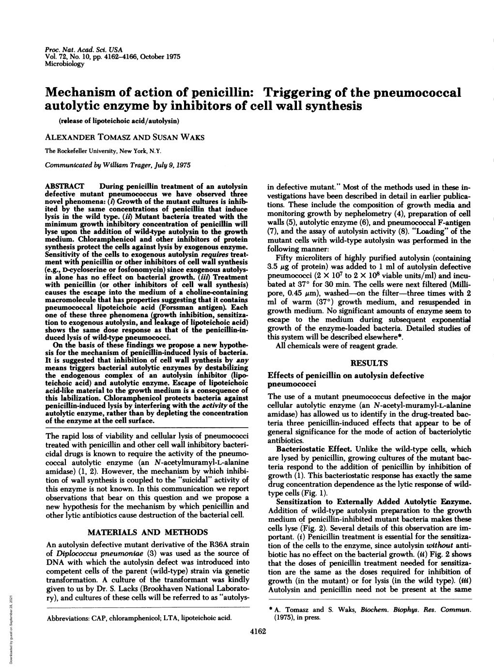 Mechanism of Action of Penicillin: Triggering of the Pneumococcal Autolytic Enzyme by Inhibitors of Cell Wall Synthesis