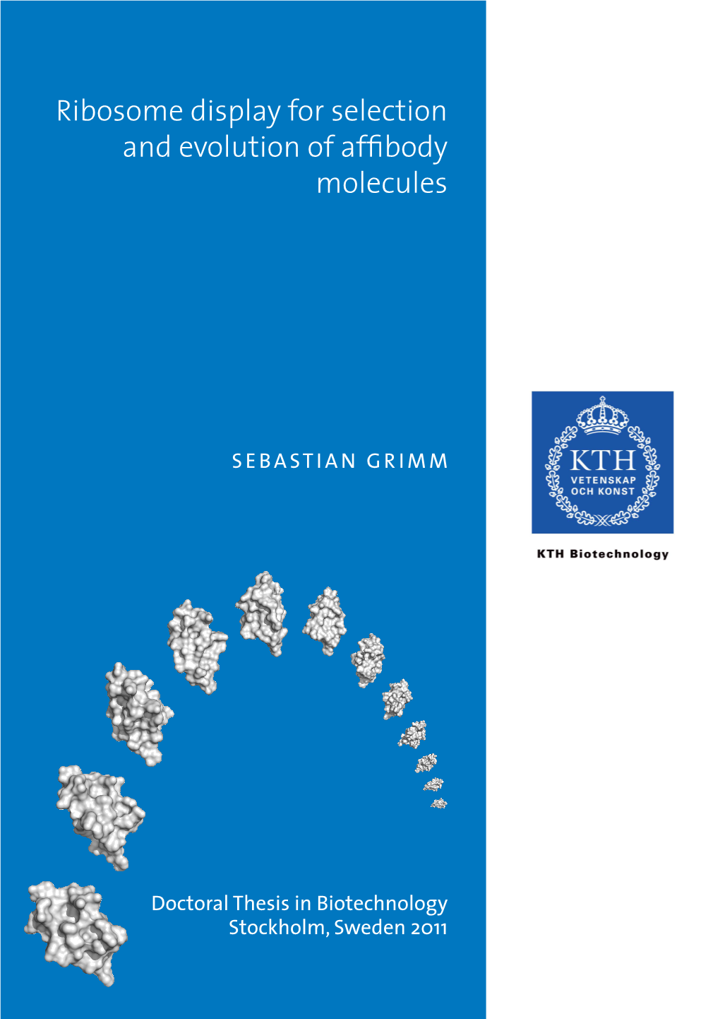 Ribosome Display for Selection and Evolution of Affibody Molecules