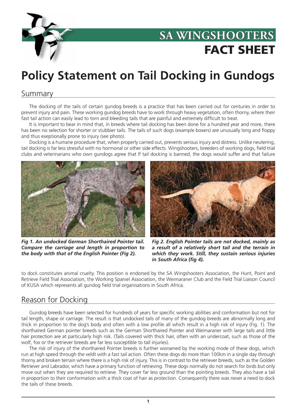 SA WINGSHOOTERS FACT SHEET Policy Statement on Tail Docking In