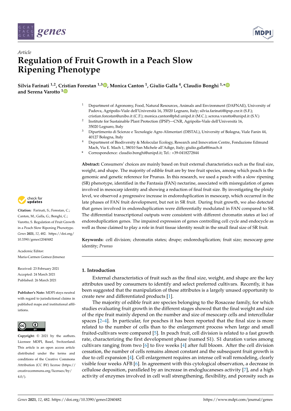 Regulation of Fruit Growth in a Peach Slow Ripening Phenotype