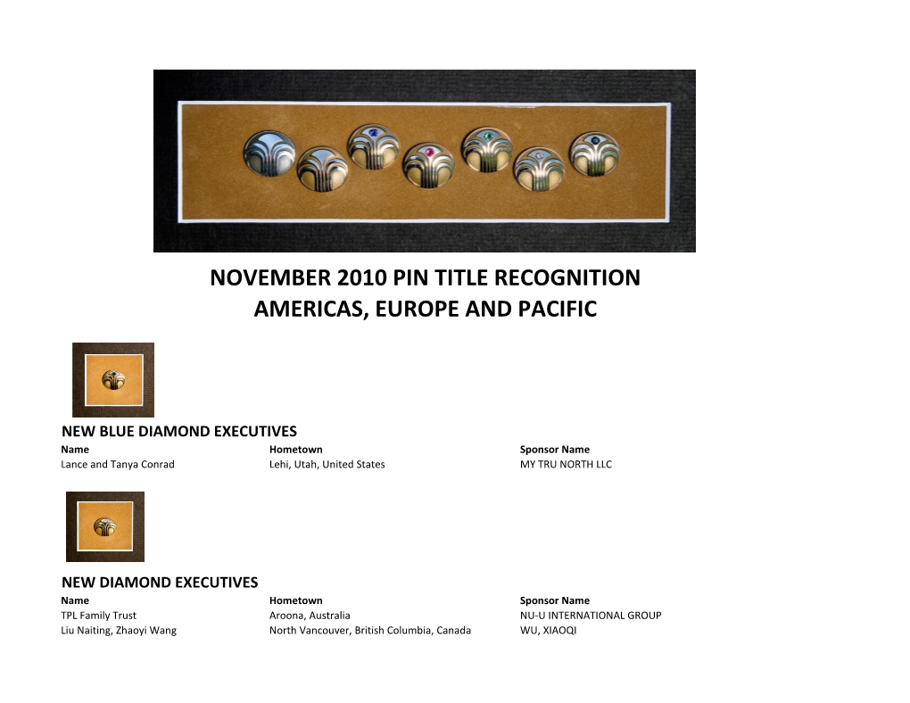 November 2010 Pin Title Recognition Americas, Europe and Pacific