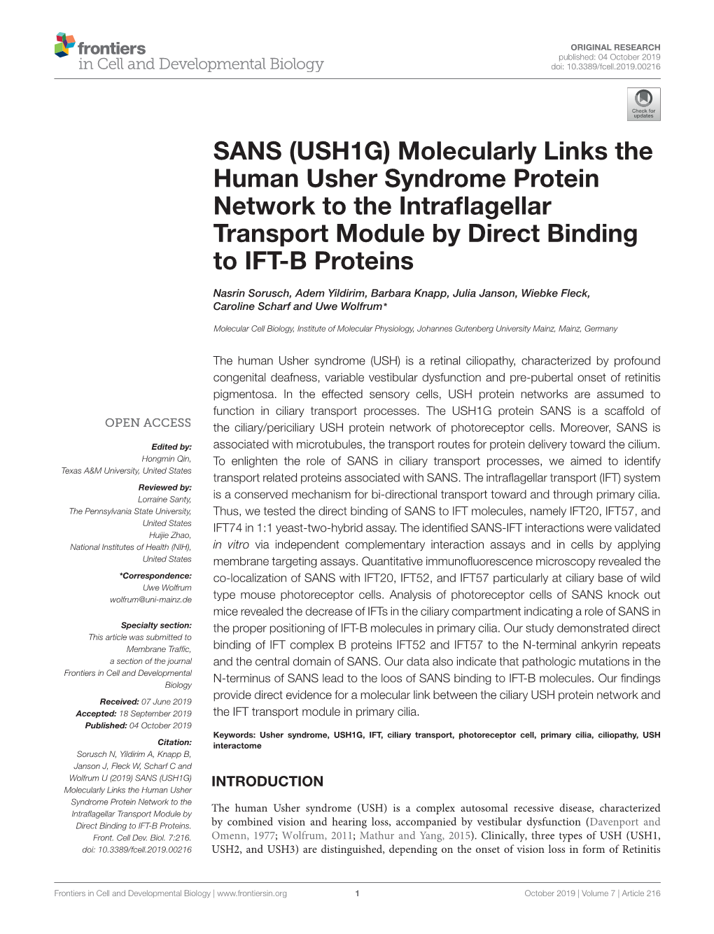 SANS (USH1G) Molecularly Links the Human Usher Syndrome Protein Network to the Intraﬂagellar Transport Module by Direct Binding to IFT-B Proteins