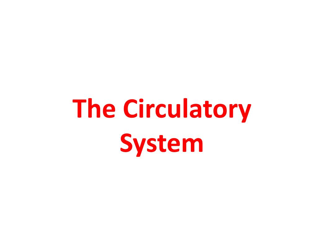 The Circulatory System the Circulatory System Includes Both the Blood and Lymphatic Vascular Systems