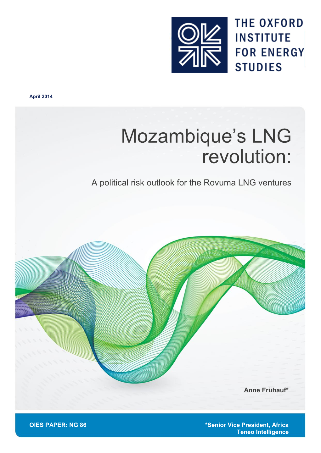 Mozambique's LNG Revolution