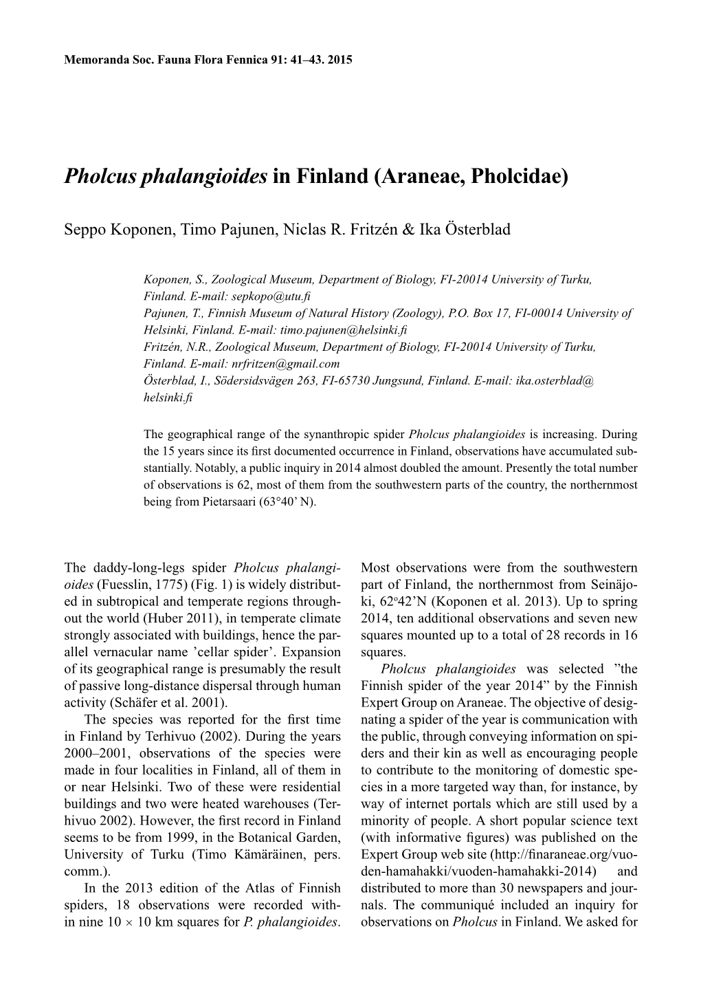 Pholcus Phalangioides in Finland (Araneae, Pholcidae)