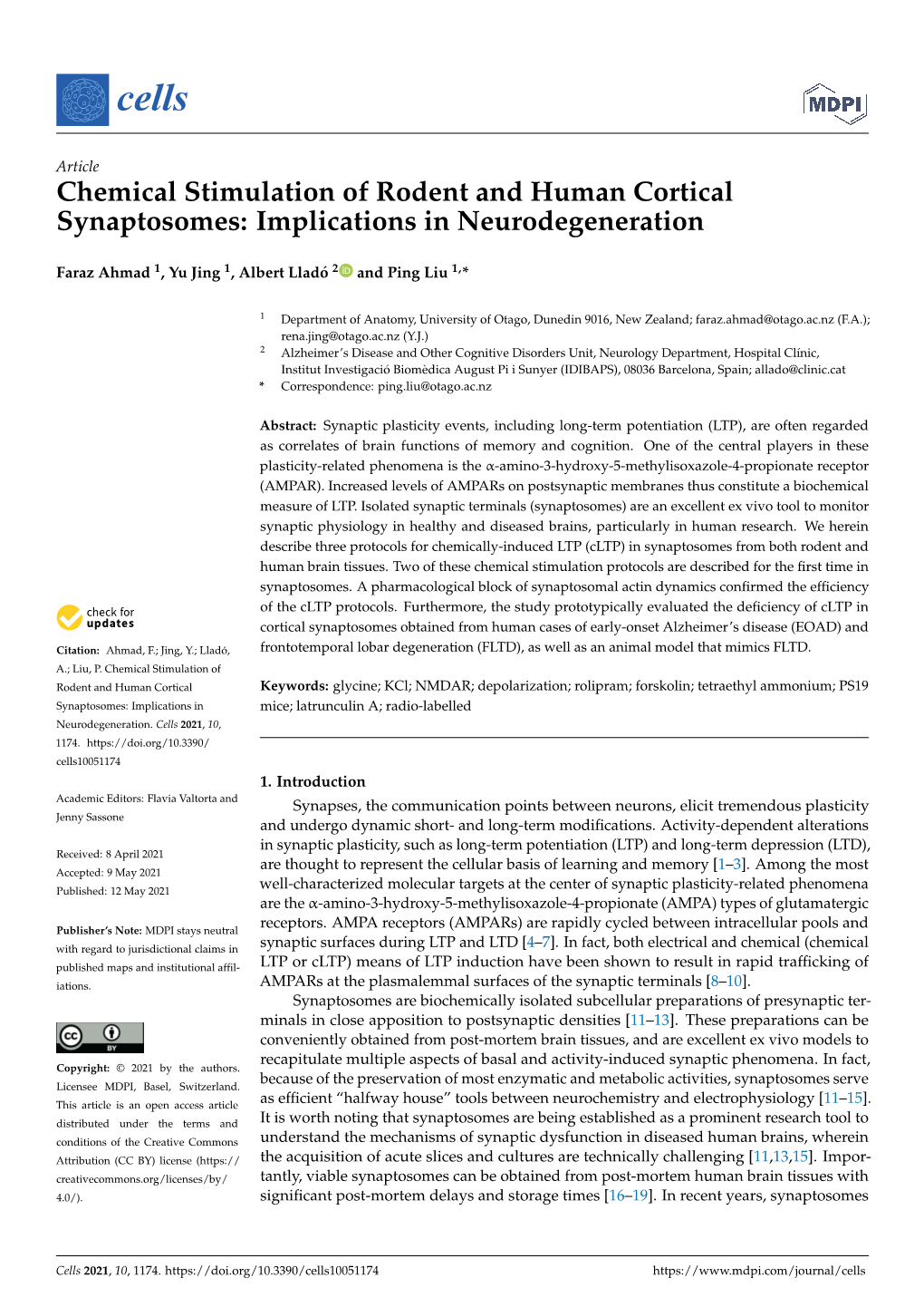 Chemical Stimulation of Rodent and Human Cortical Synaptosomes: Implications in Neurodegeneration