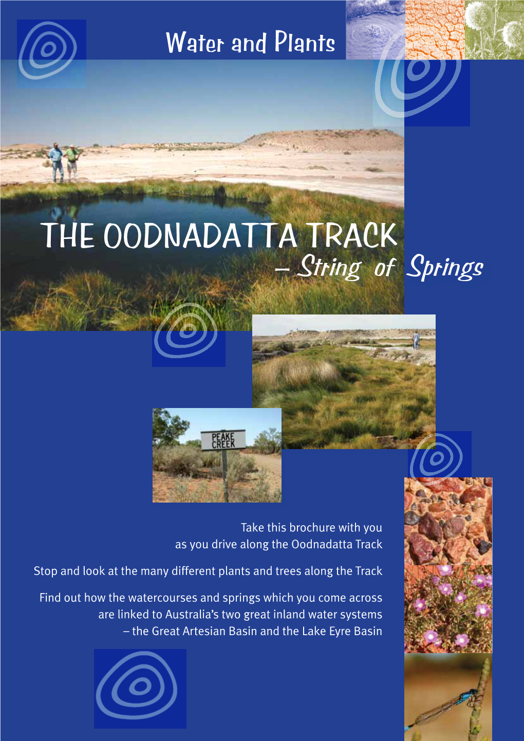 The Oodnadatta Track – String of Springs