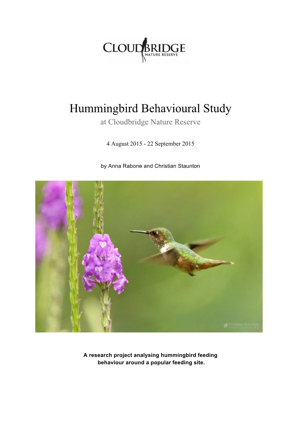 Hummingbird Behavioural Study at Cloudbridge Nature Reserve