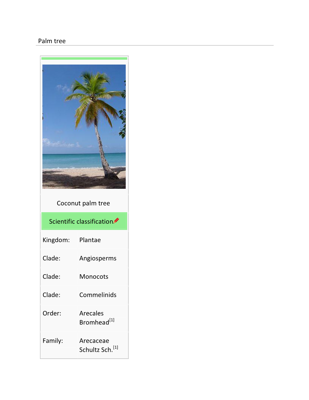 Palm Tree Coconut Palm Tree Scientific Classification Kingdom