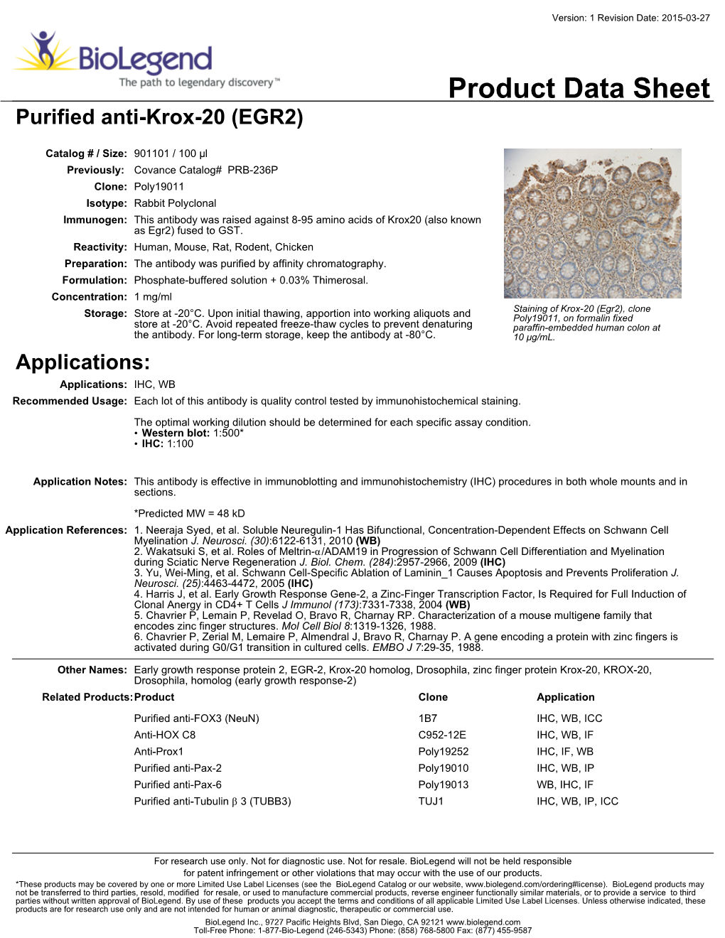 Product Data Sheet Purified Anti-Krox-20 (EGR2)