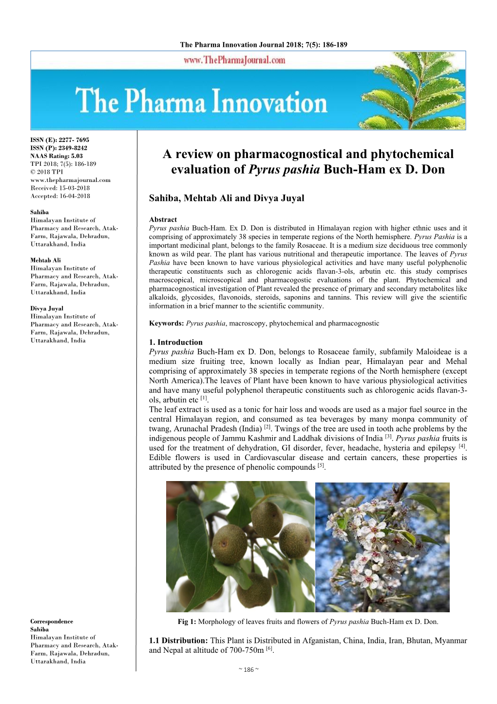 A Review on Pharmacognostical and Phytochemical Evaluation of Pyrus