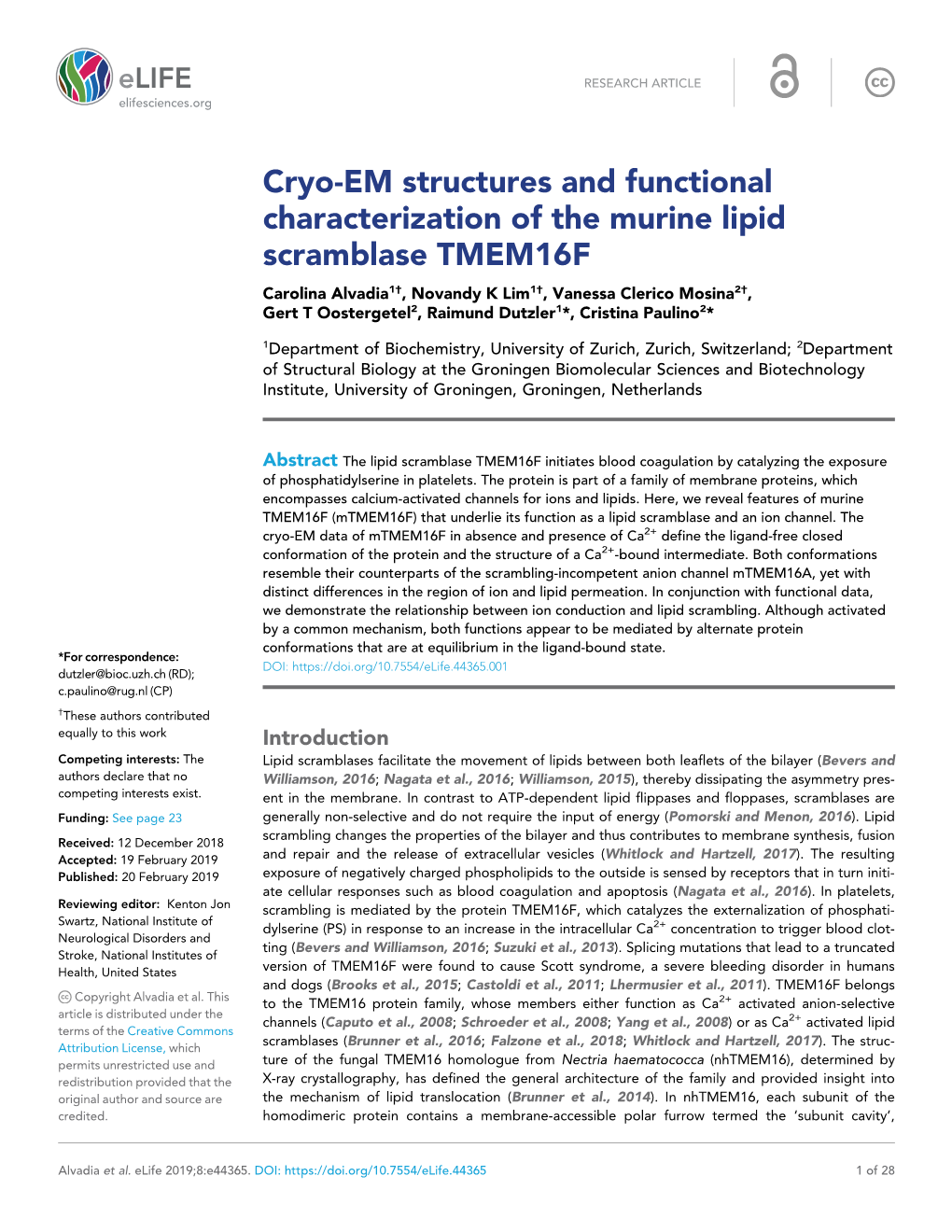 Cryo-EM Structures and Functional Characterization of the Murine Lipid