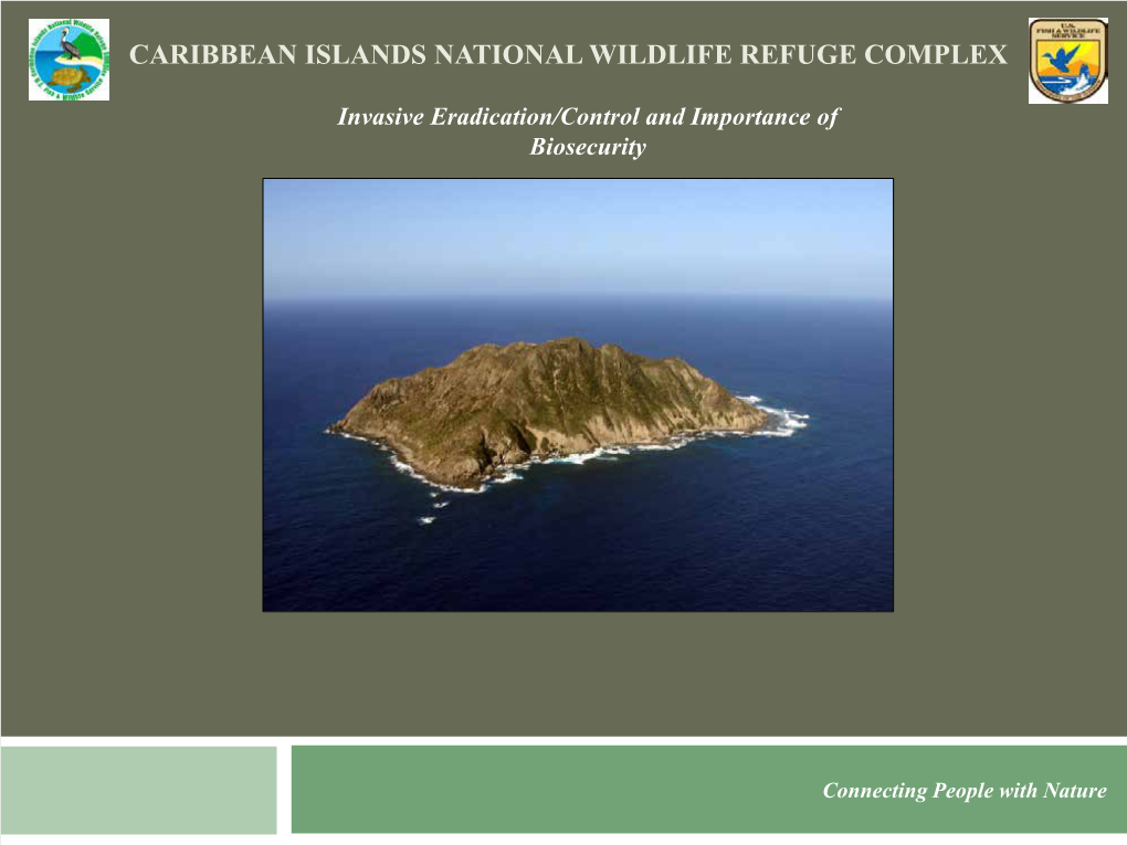 Caribbean Islands National Wildlife Refuge Complex