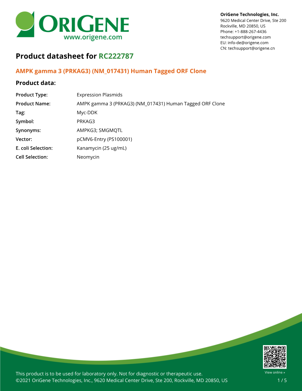 AMPK Gamma 3 (PRKAG3) (NM 017431) Human Tagged ORF Clone Product Data