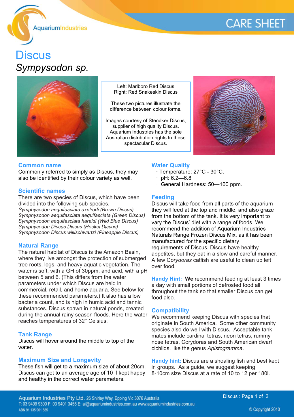 Discus Sympysodon Sp