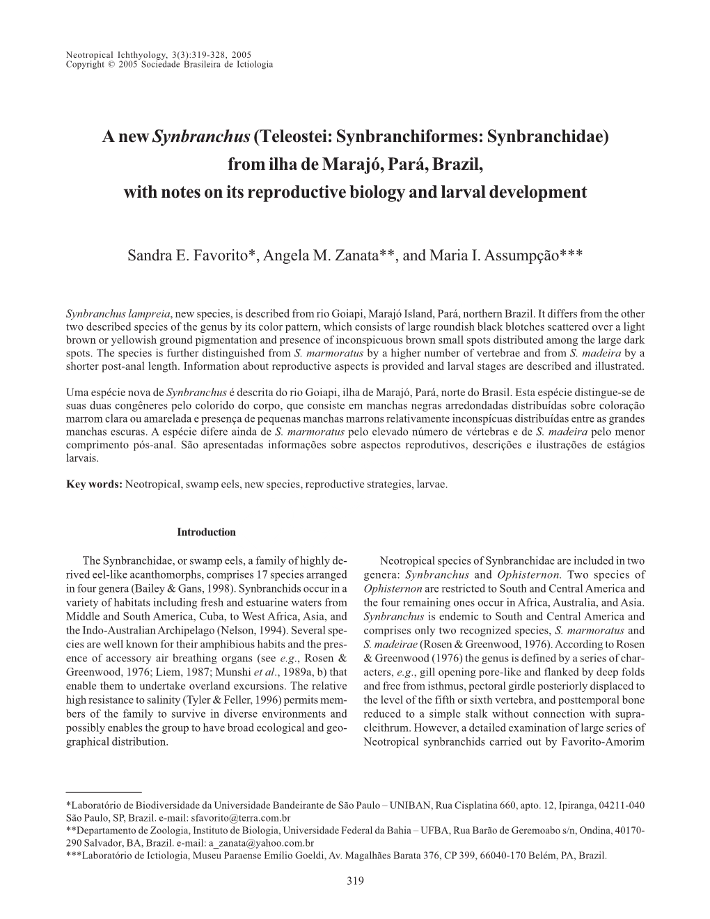 A New Synbranchus(Teleostei: Synbranchiformes