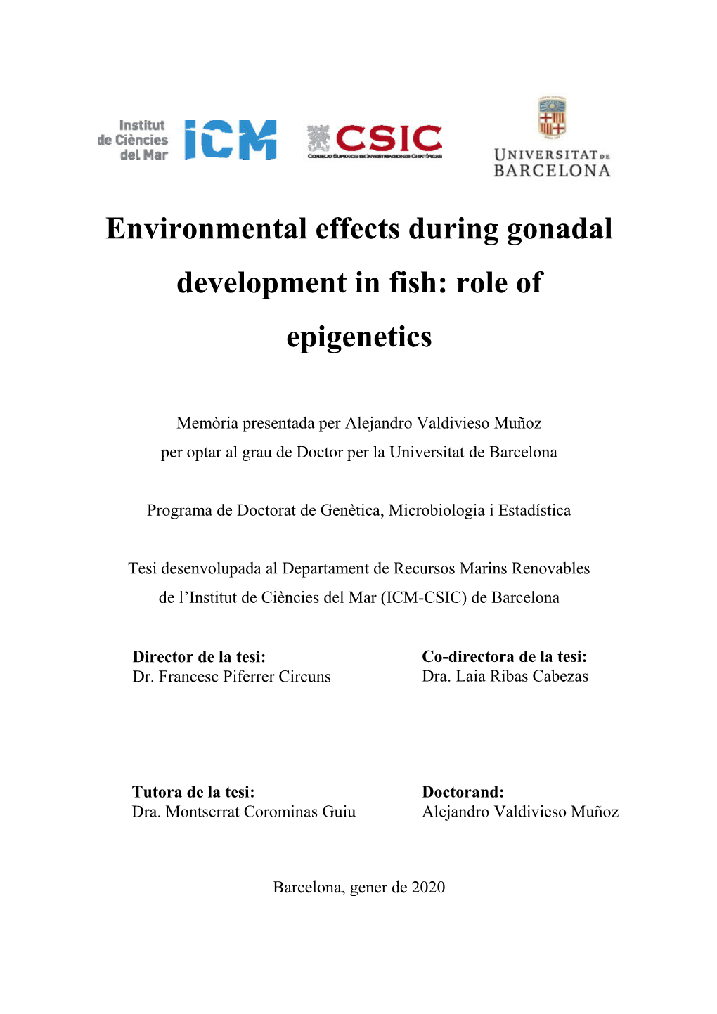 Environmental Effects During Gonadal Development in Fish: Role of Epigenetics