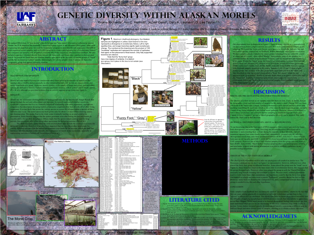 Examining the Genetic Diversity of Morel Mushrooms in Alaska