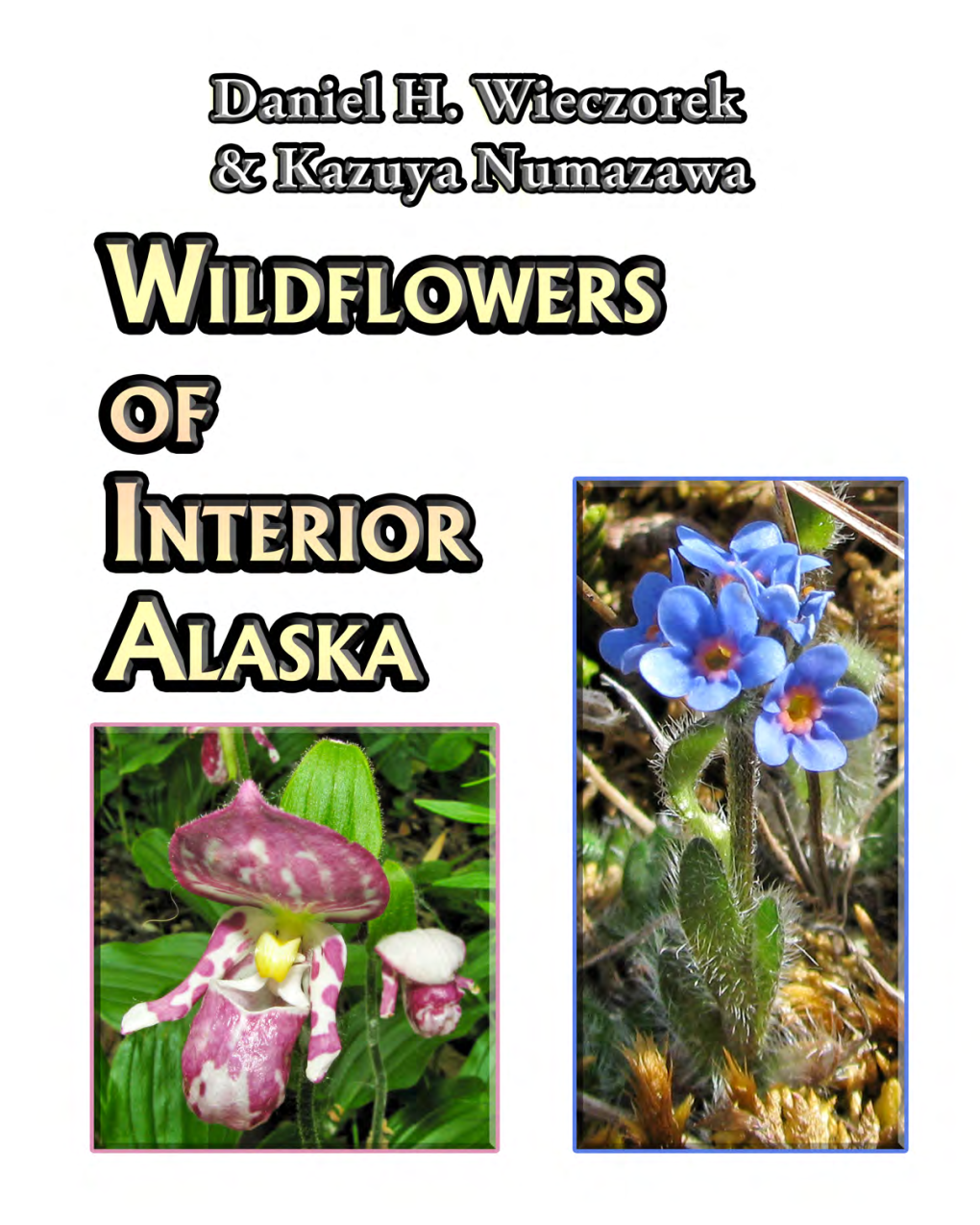 Wildflowers of Interior Alaska