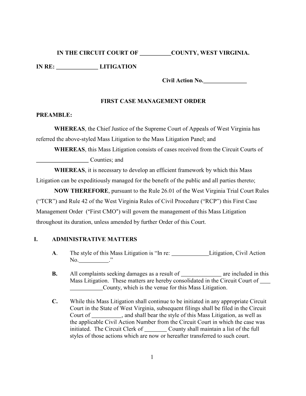 Case Management Order