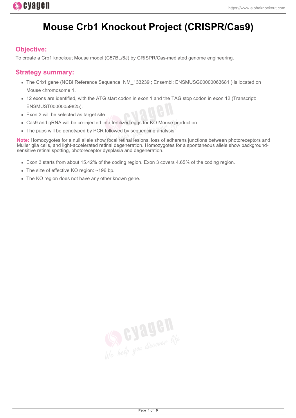 Mouse Crb1 Knockout Project (CRISPR/Cas9)