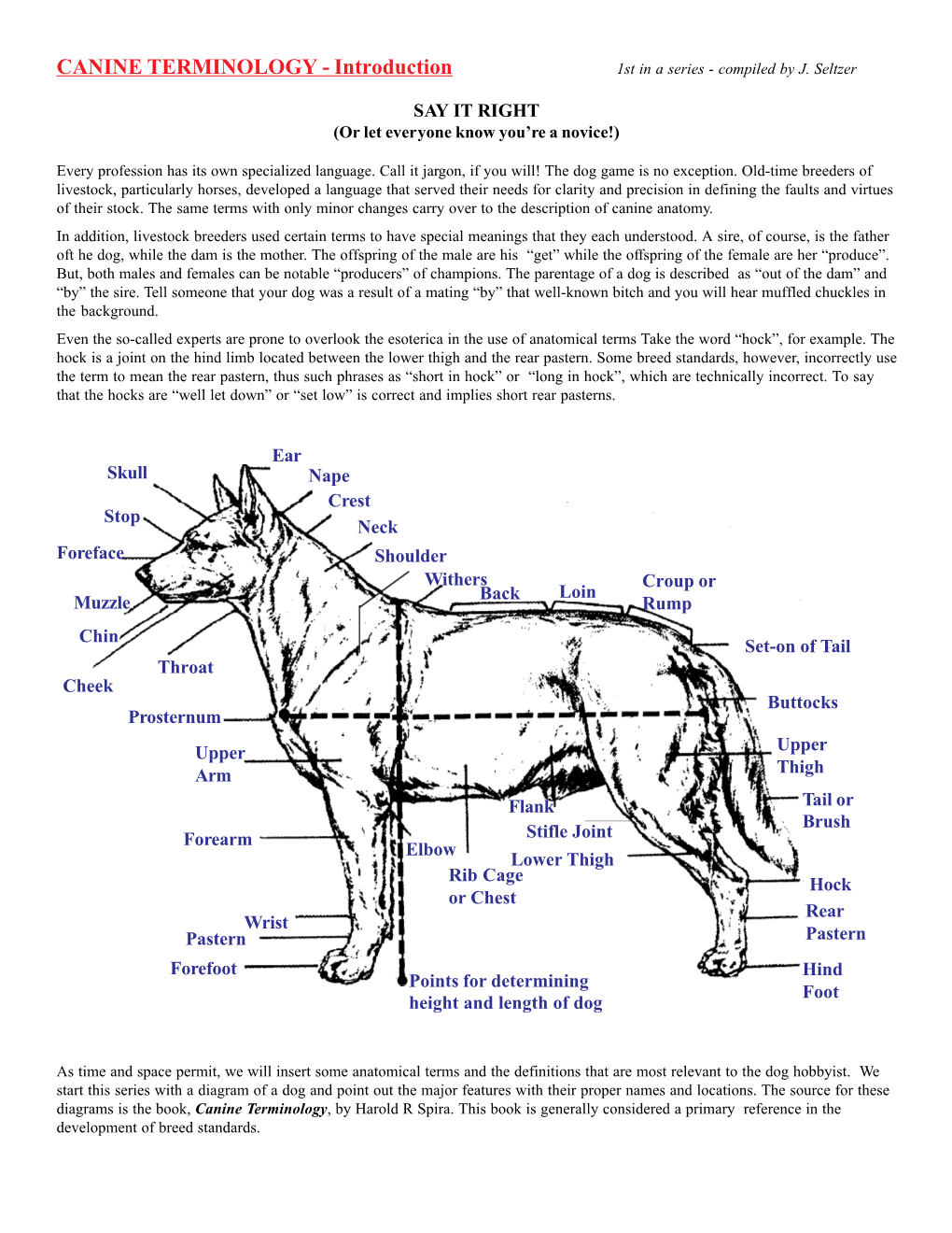 CANINE TERMINOLOGY - Introduction 1St in a Series - Compiled by J