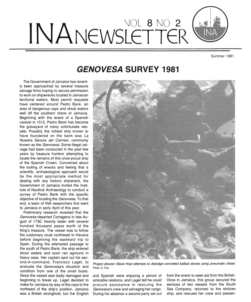 Summer 1981 GENOVESA SURVEY 1981