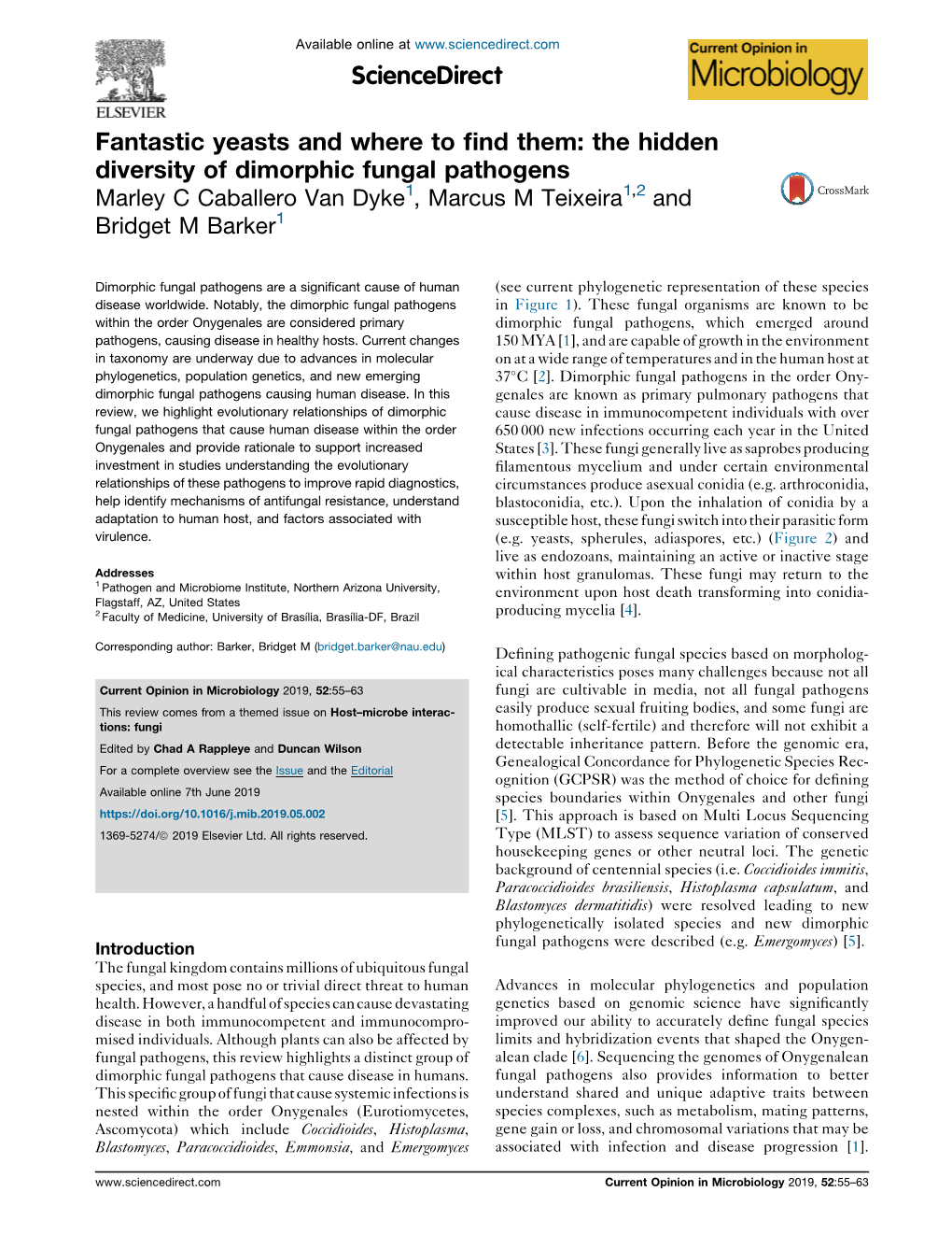 Fantastic Yeasts and Where to Find Them: the Hidden Diversity of Dimorphic Fungal Pathogens