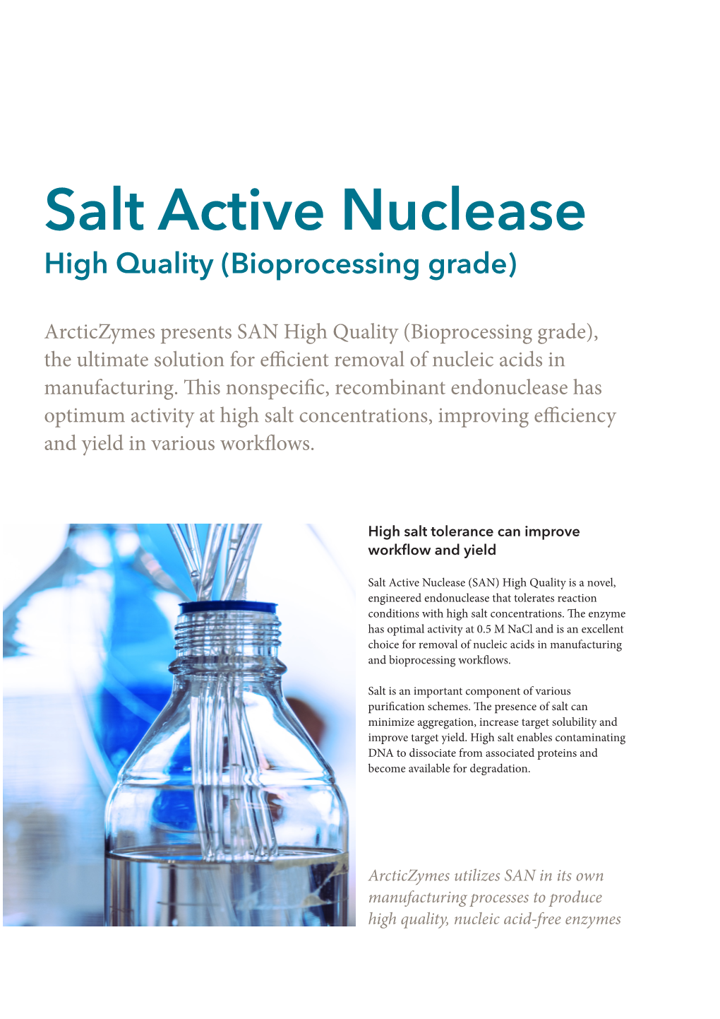 Salt Active Nuclease High Quality (Bioprocessing Grade)