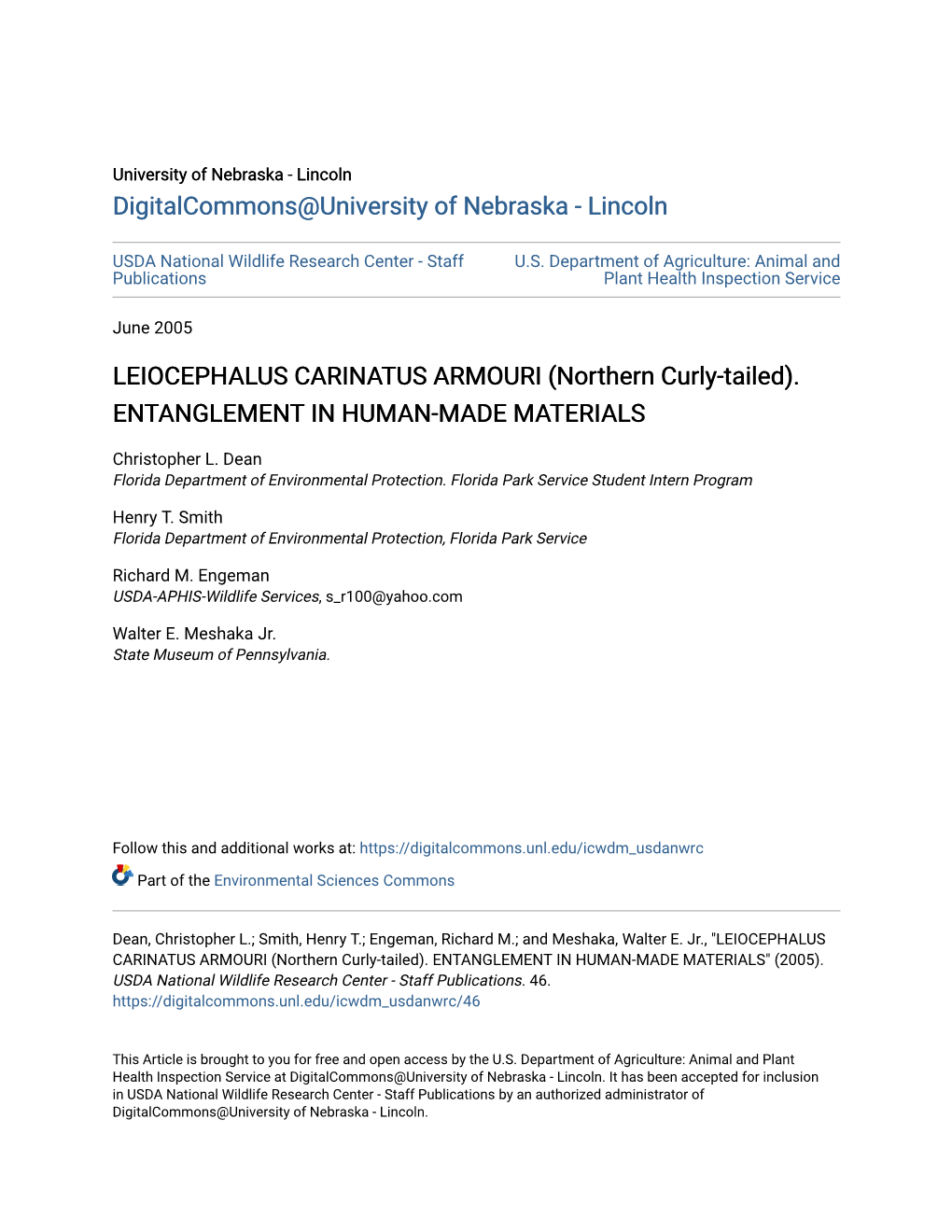 LEIOCEPHALUS CARINATUS ARMOURI (Northern Curly-Tailed)