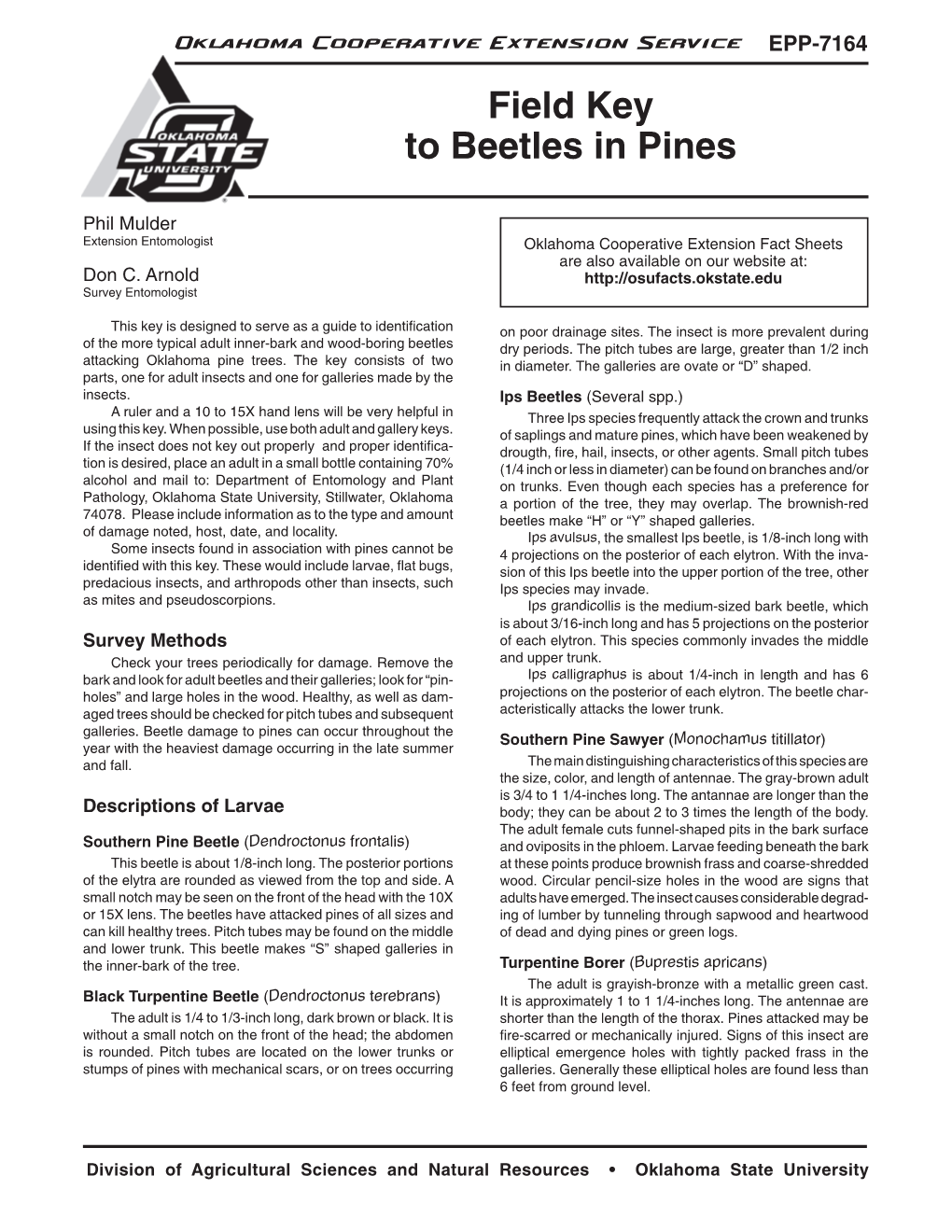 Field Key to Beetles in Pines