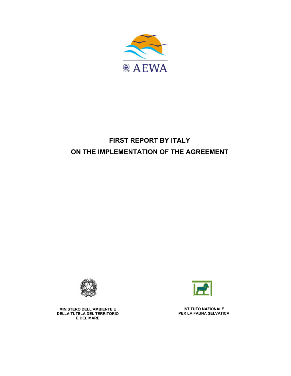 First Report by Italy on the Implementation of the Agreement