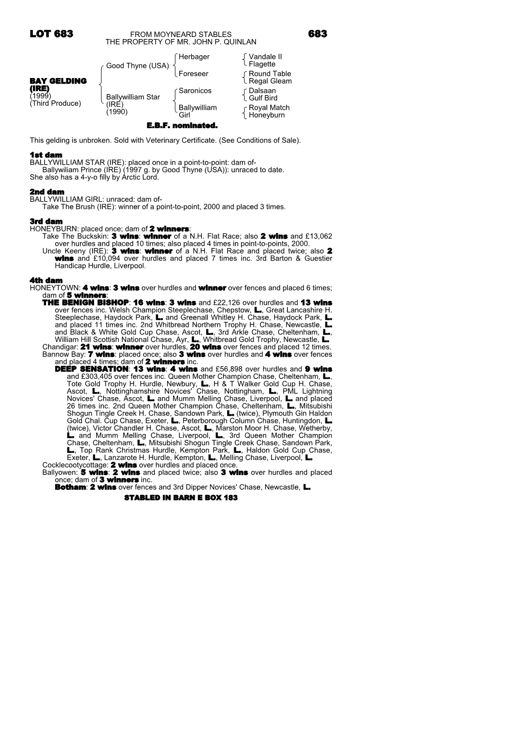 Lot 683 from Moyneard Stables 683 the Property of Mr