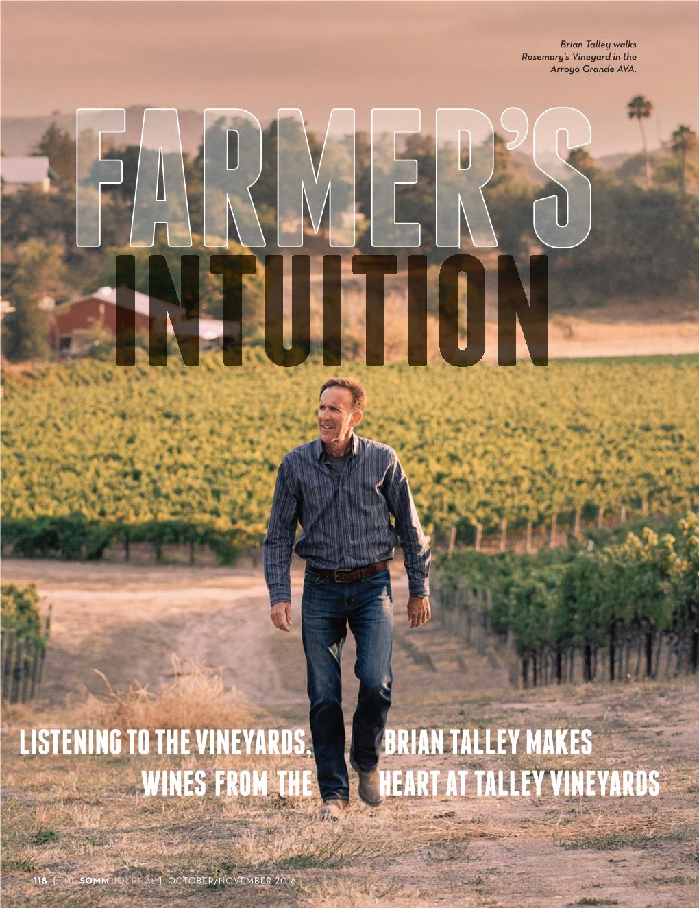 Listening to the Vineyards, Brian Talley Makes Wines from the Heart at Talley Vineyards