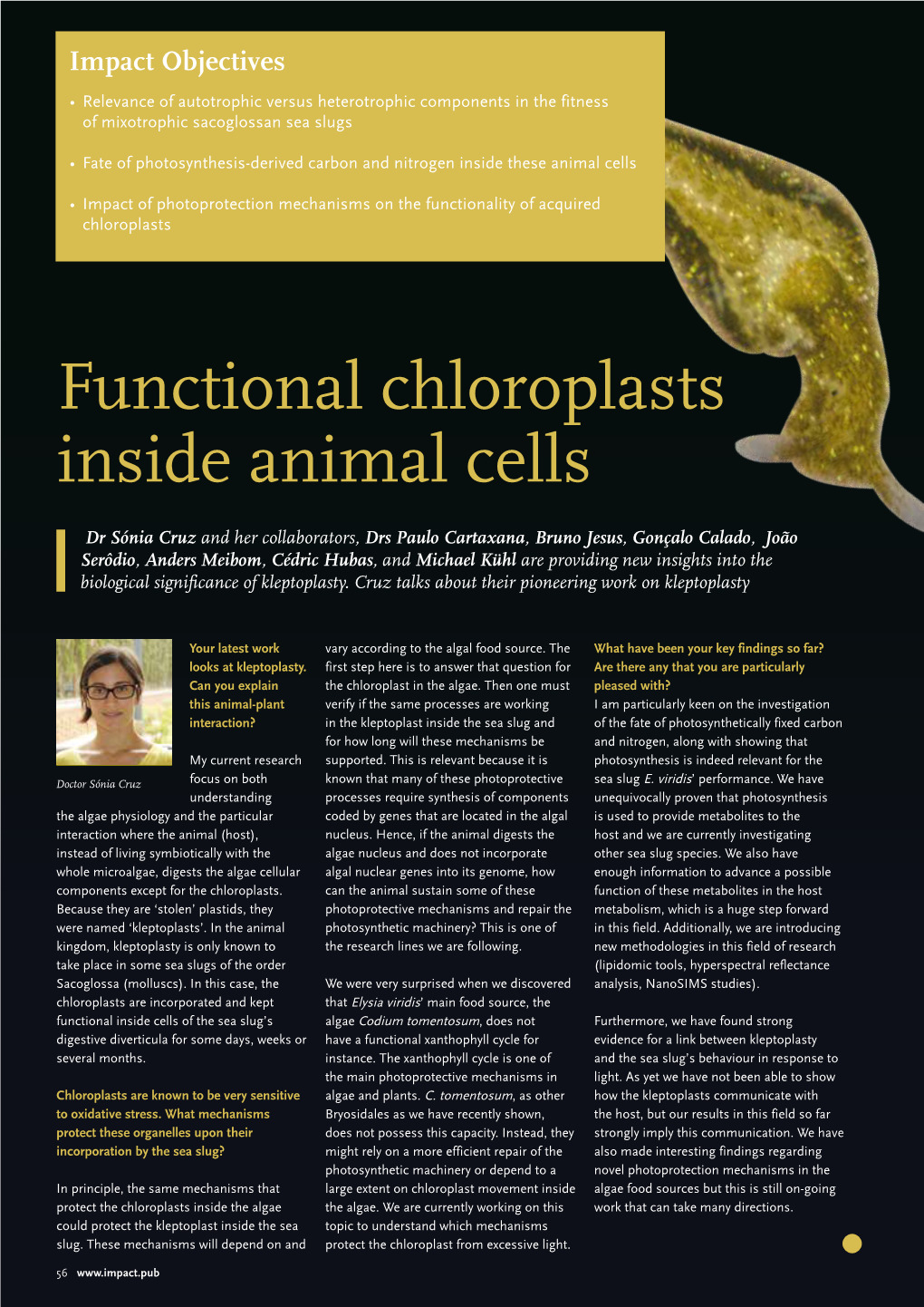 Functional Chloroplasts Inside Animal Cells