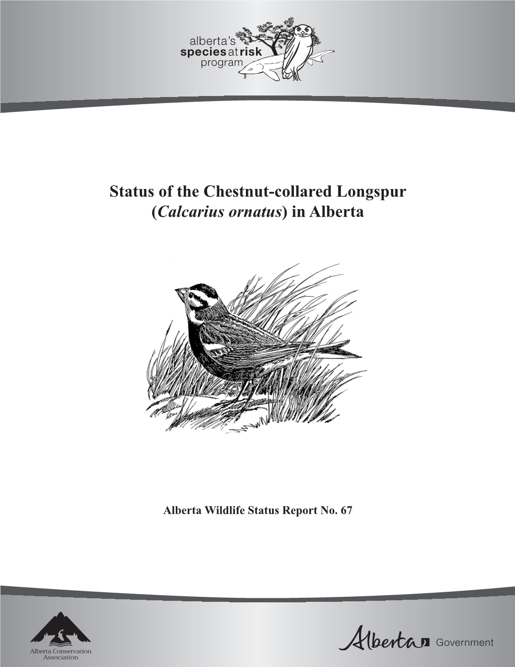 Status of the Chestnut-Collared Longspur (Calcarius Ornatus) in Alberta