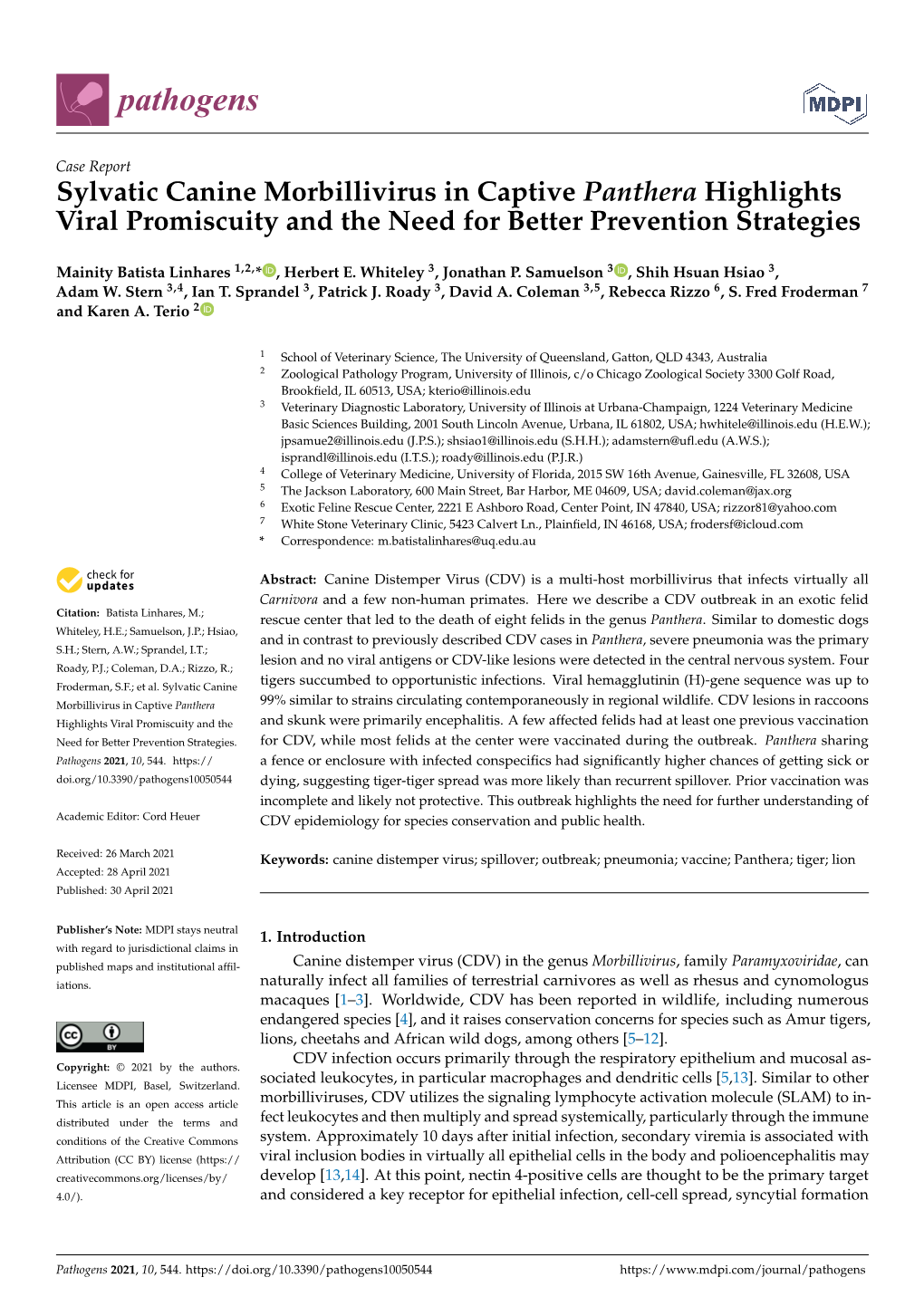 Sylvatic Canine Morbillivirus in Captive Panthera Highlights Viral Promiscuity and the Need for Better Prevention Strategies