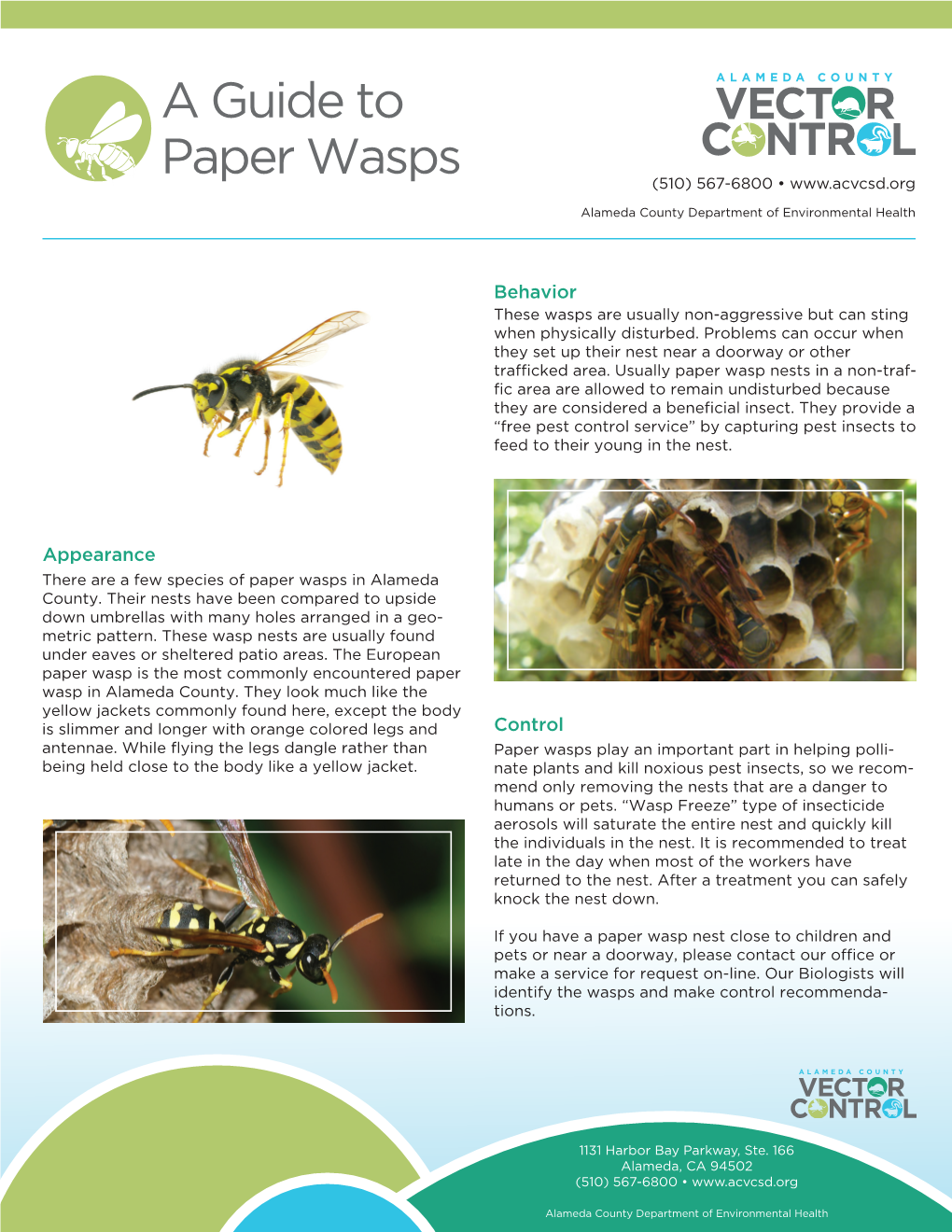 A Guide to Paper Wasps (510) 567-6800 •