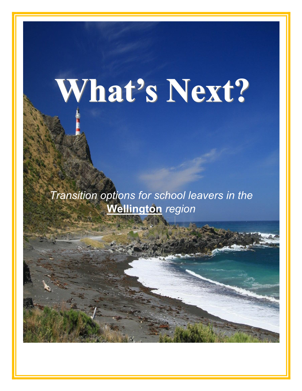 Transition Options for School Leavers in the Wellington Region