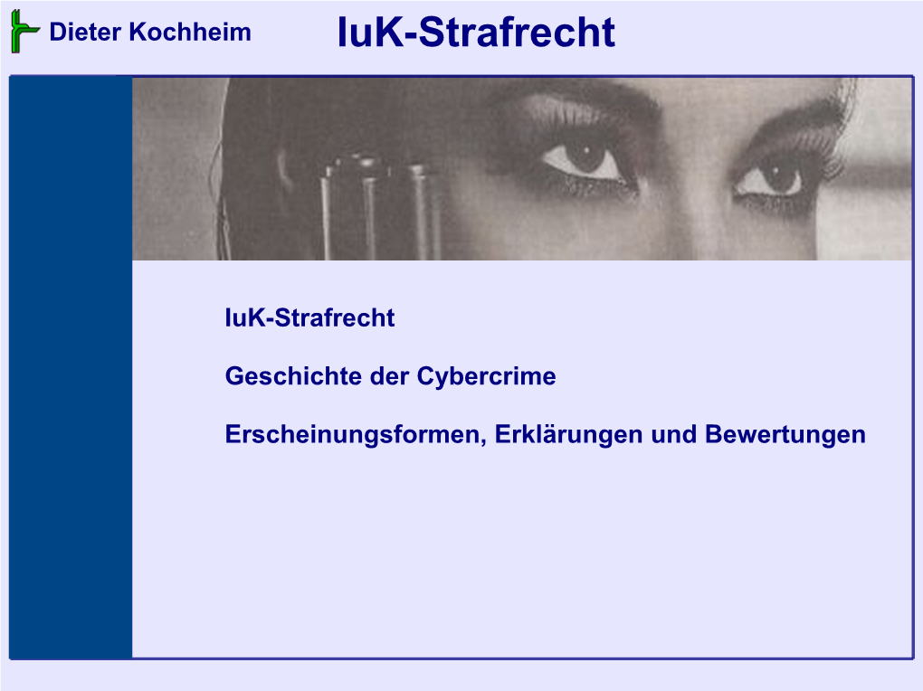 Dieter Kochheim, Iuk-Strafrecht Iuk-Strafrecht