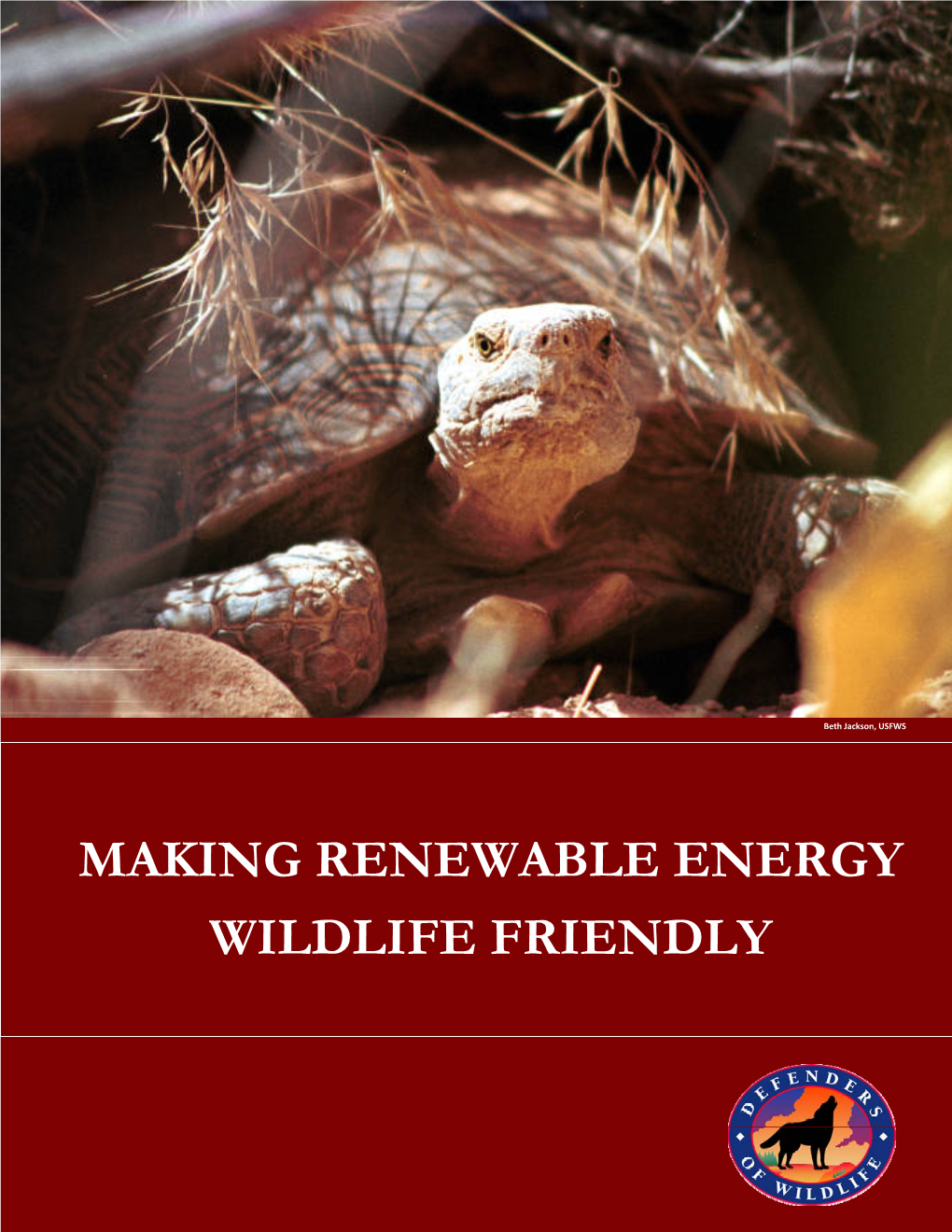 Making Renewable Energy “Wildlife Friendly”