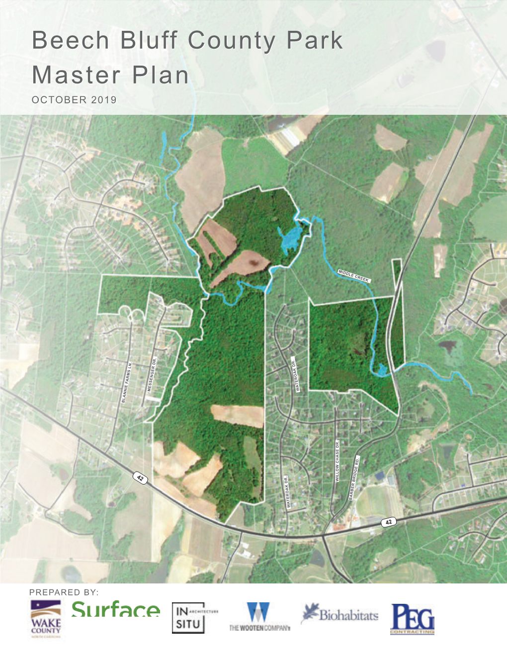 Beech Bluff County Park Master Plan OCTOBER 2019