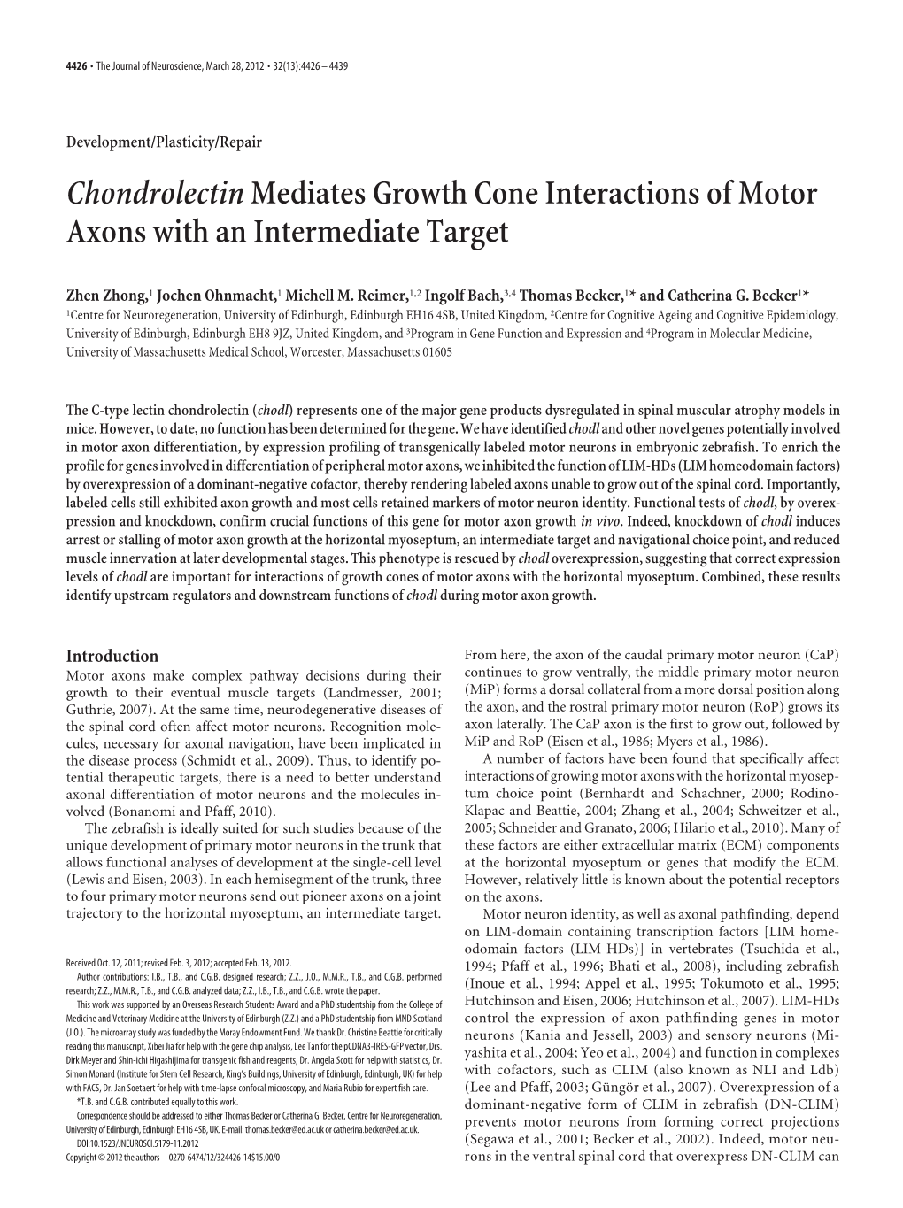 Chondrolectinmediates Growth Cone Interactions of Motor Axons with An