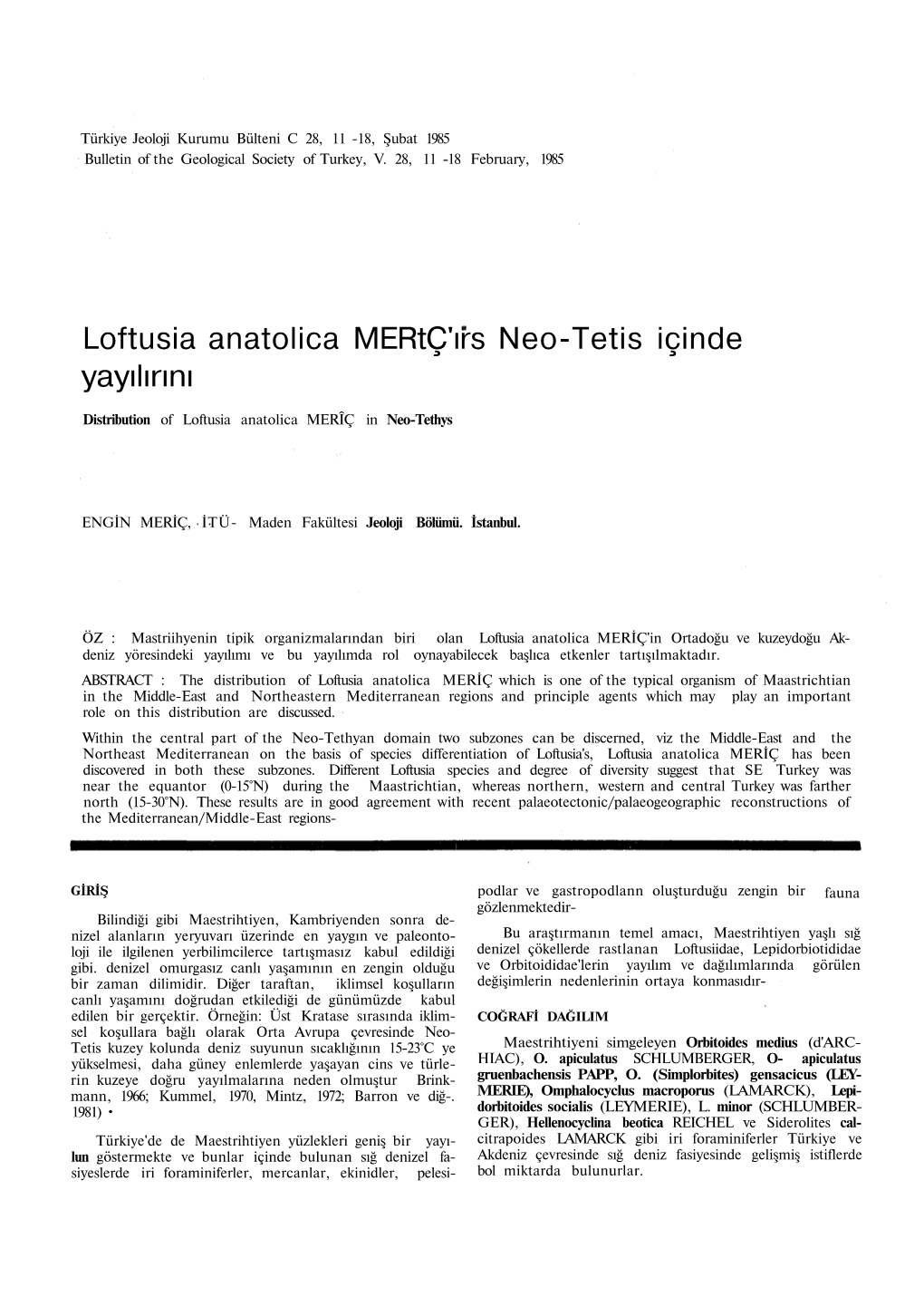 Loftusia Anatolica Mertç'ırs Neo-Tetis Içinde Yayılırını