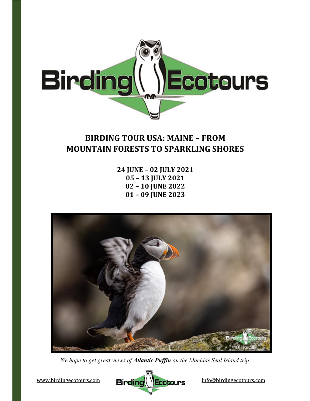 Birding Tour Usa: Maine – from Mountain Forests to Sparkling Shores