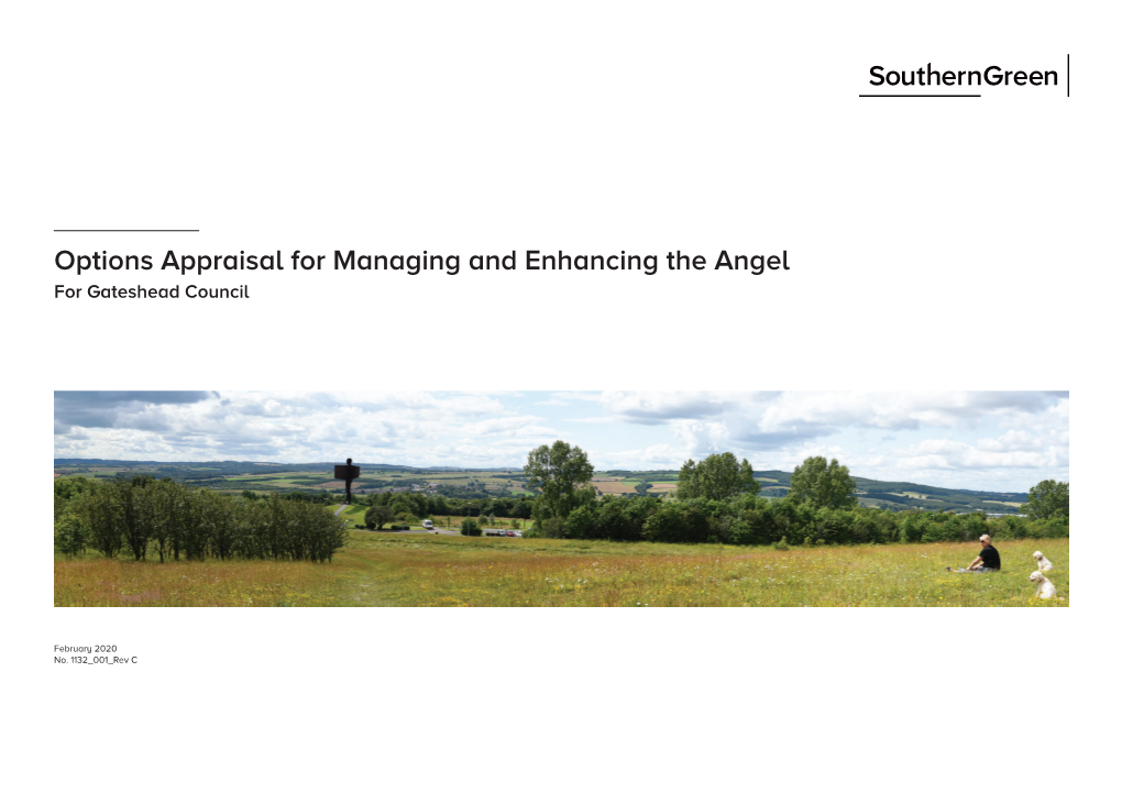 Options Appraisal for Managing and Enhancing the Angel for Gateshead Council