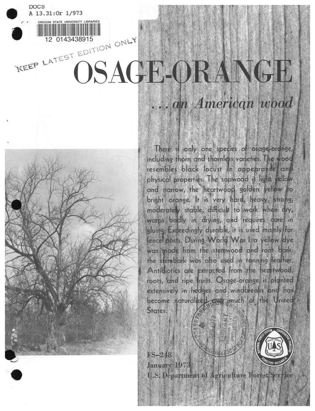 OSAGE-Orangit