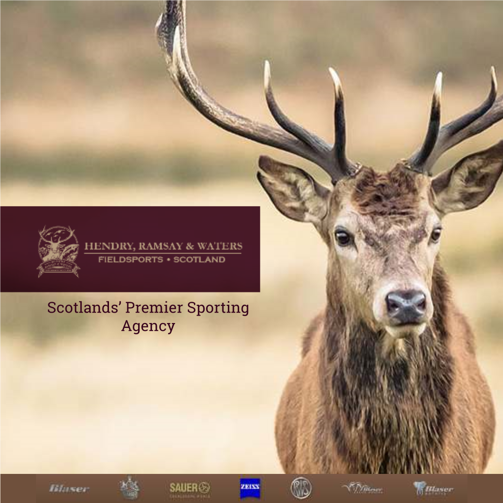 Scotlands' Premier Sporting Agency