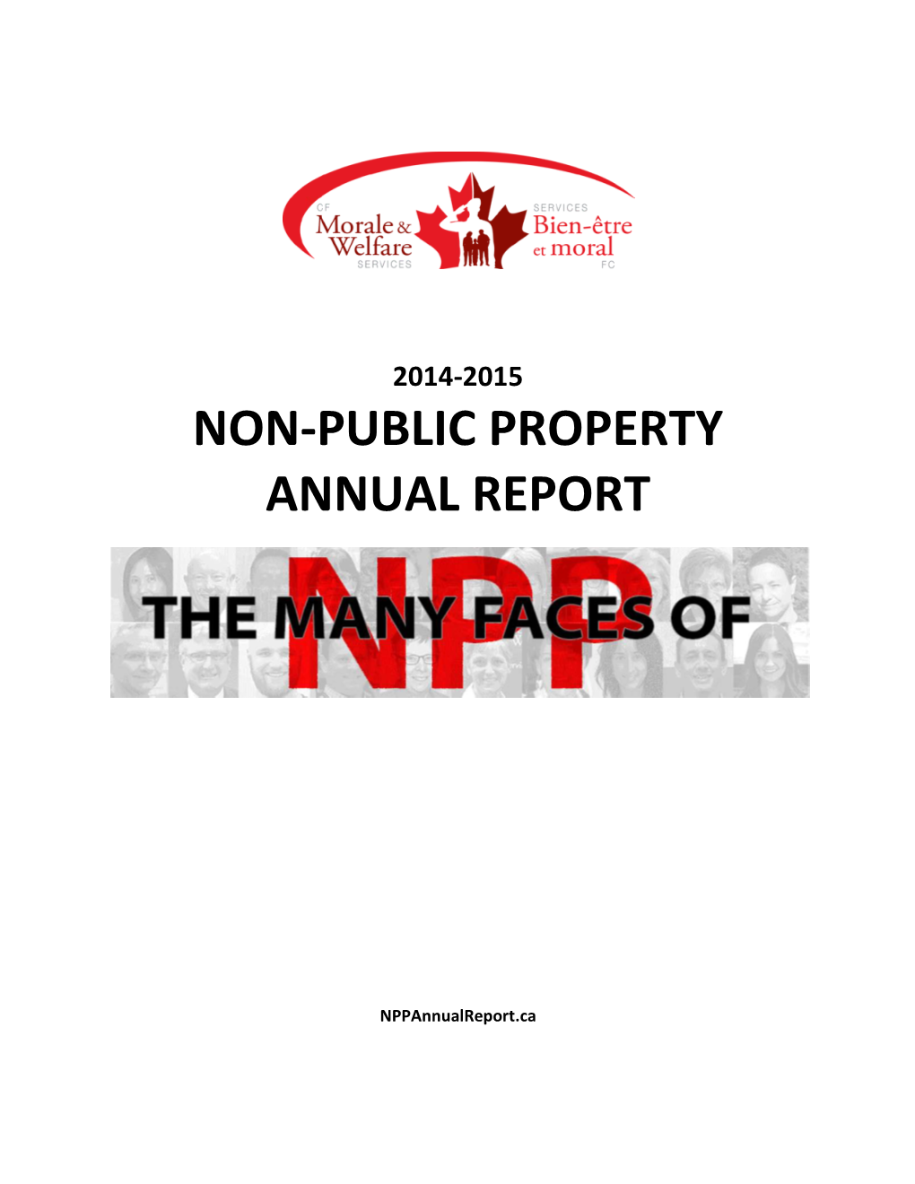 Non-Public Property Annual Report