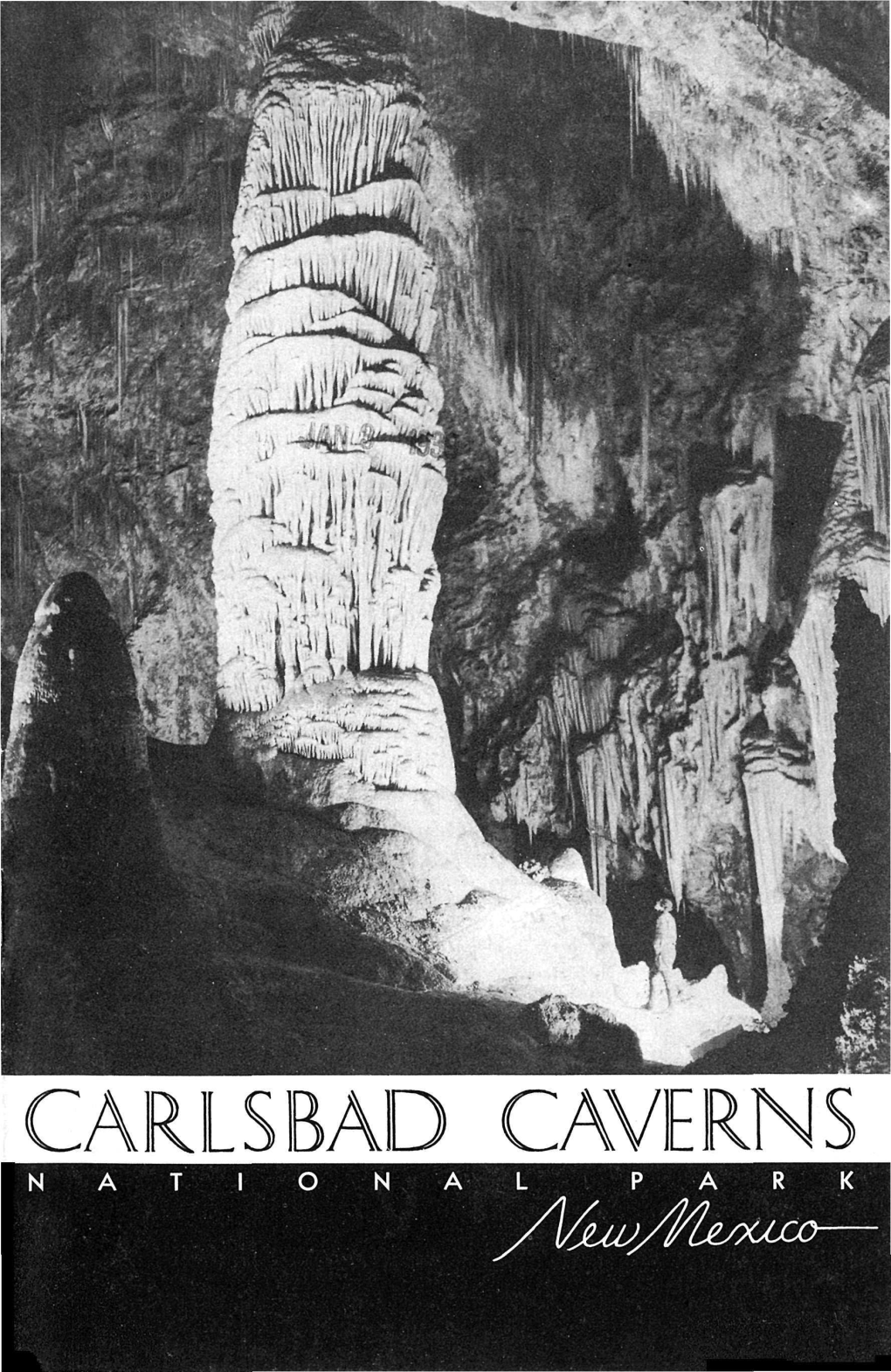 CARLSBAD CAVERNS NATIONAL PARK /V^/Yfa^Ujte— Carlsbad Caverns NATIONAL PARK the Underground Trip 15 NEW MEXICO Floodlighting of the Caverns 18